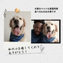 可愛いわんこにも慧一之水