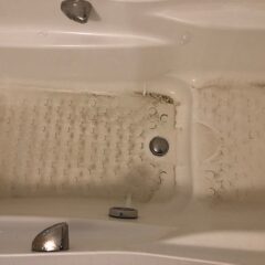 デトックスされて・・・