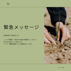 緊急メッセージ