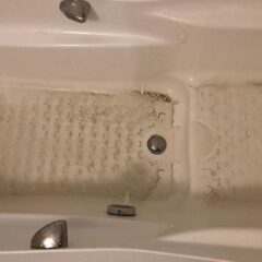 5日分試してみました！！