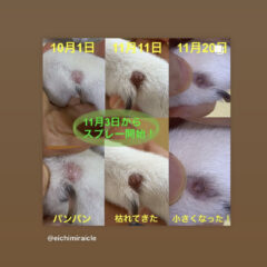 マジか！？の体験談シリーズ