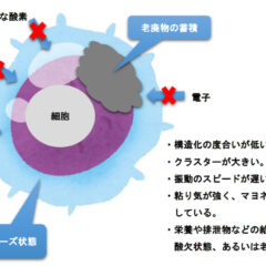 ミネラルが不足するとどうなるのか？１