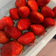 苺の販売開始致しました！！！