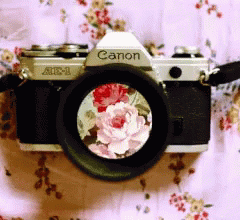 あの黒さの正体は！？