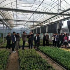 優れた鮮度保持能力