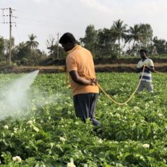 えいちの水が作る安全で豊かな世界