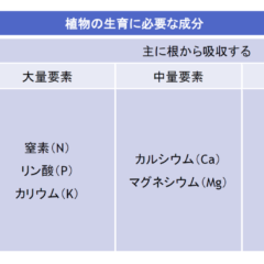 現代農業の問題点