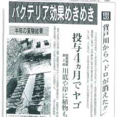 ミネラルが大事なお話