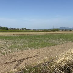 えいちの水を輸出