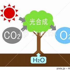毒出し　慧一の水　とっても大事な話