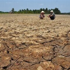 食料危機　慧一の水