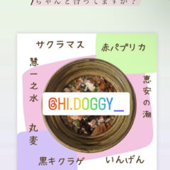 慧一の水　ペット　使える？