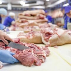 メキシコ　慧一の水