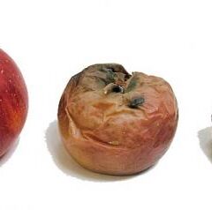 野菜が溶ける！？　慧一の水