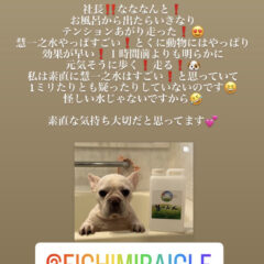 わんちゃん　猫ちゃん　えいちのお風呂