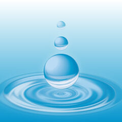 この2年を振り返ってみた　えいちの水