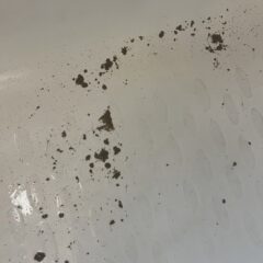 なんて黒さだ！！！😱　モニター様　慧一之水　