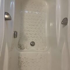 インフルでしょうね・・・　慧一之水