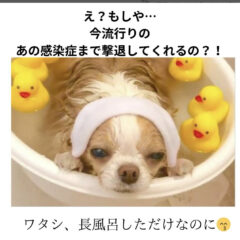 お客様の体験談　慧一之水