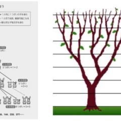 ３　５　８　最近車のナンバーで見かけないですか？！