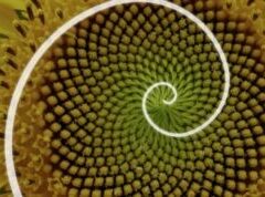 ３５８ナンバーの続き２　