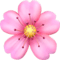 🌸
